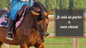 interview sur l’équitation et l’ostéopathie de Juliette Gantier